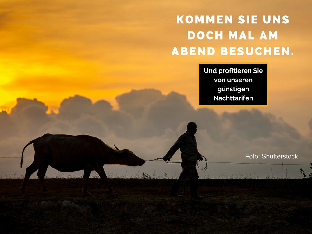 Nachtmiete